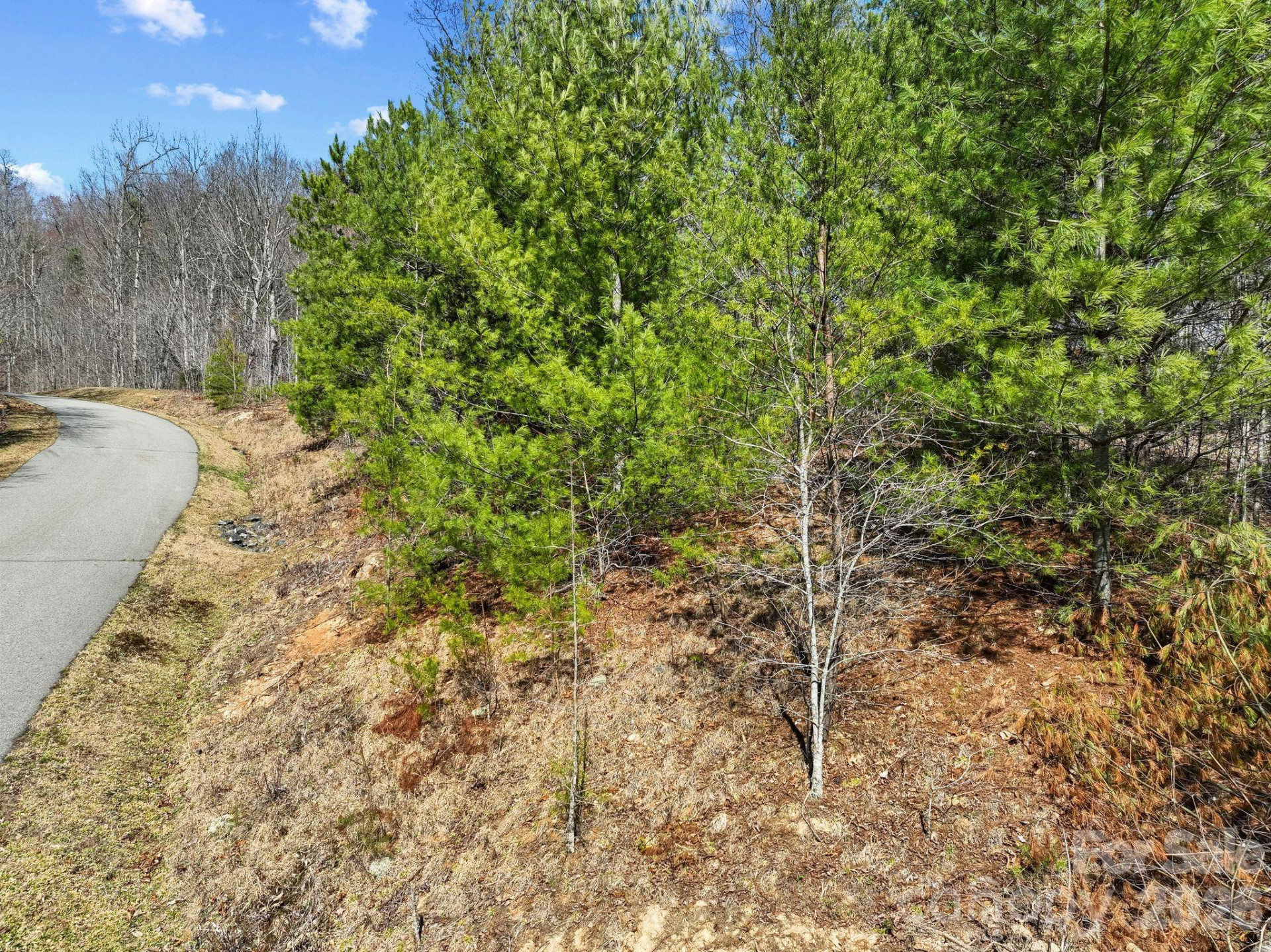 141 Sanctuary Way #13 - Photo 7