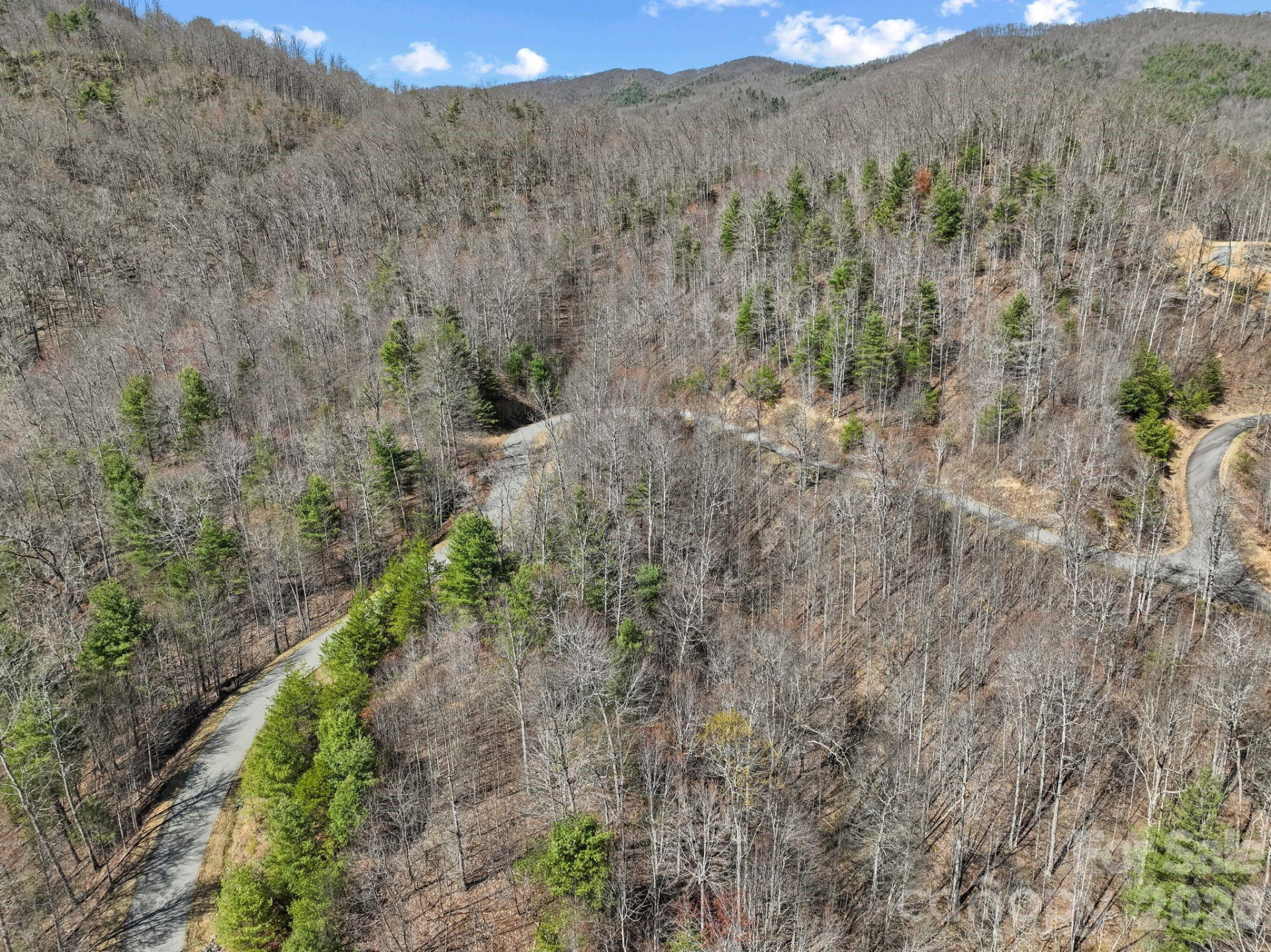 141 Sanctuary Way #13 - Photo 8