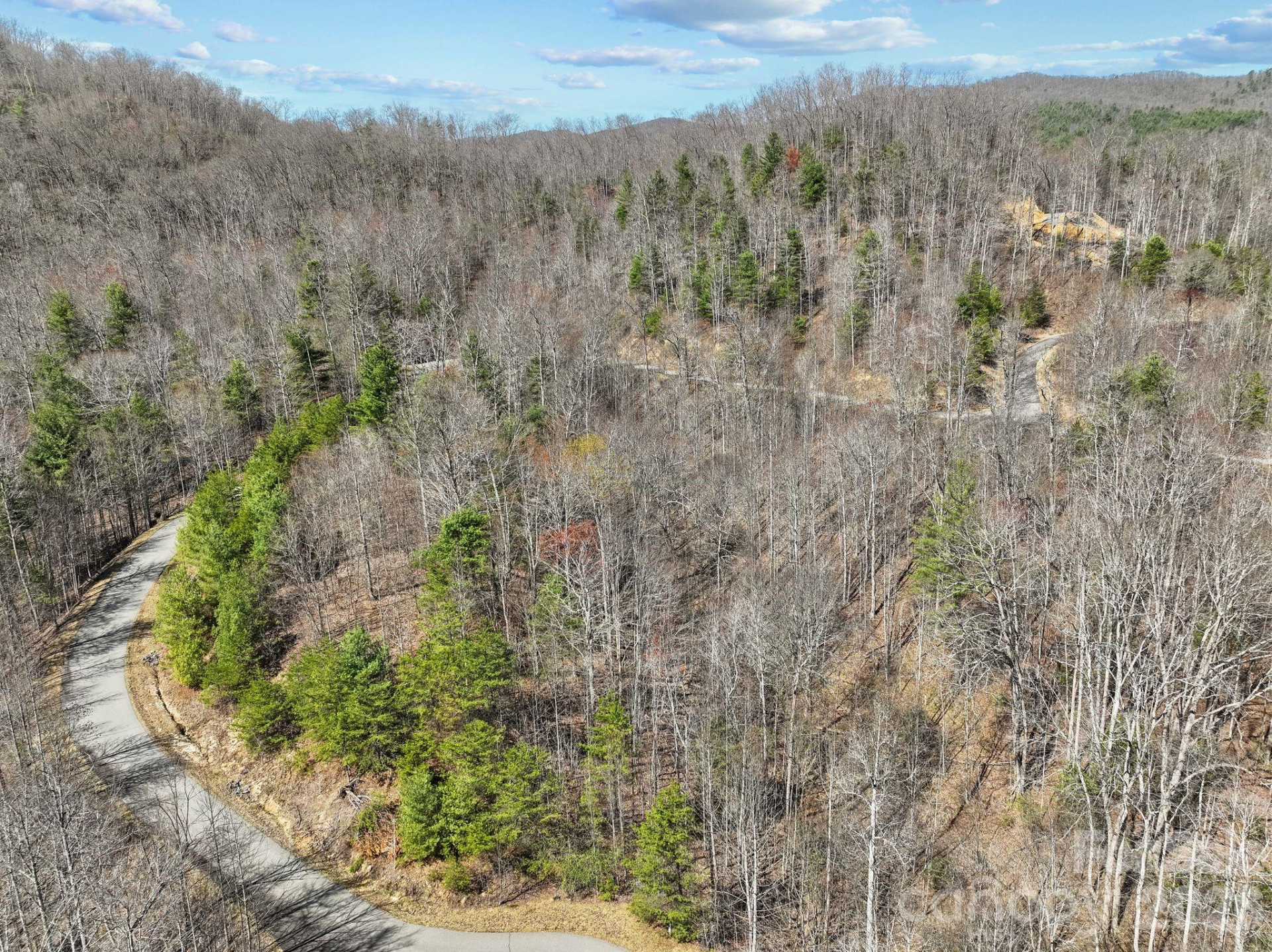 141 Sanctuary Way #13 - Photo 10