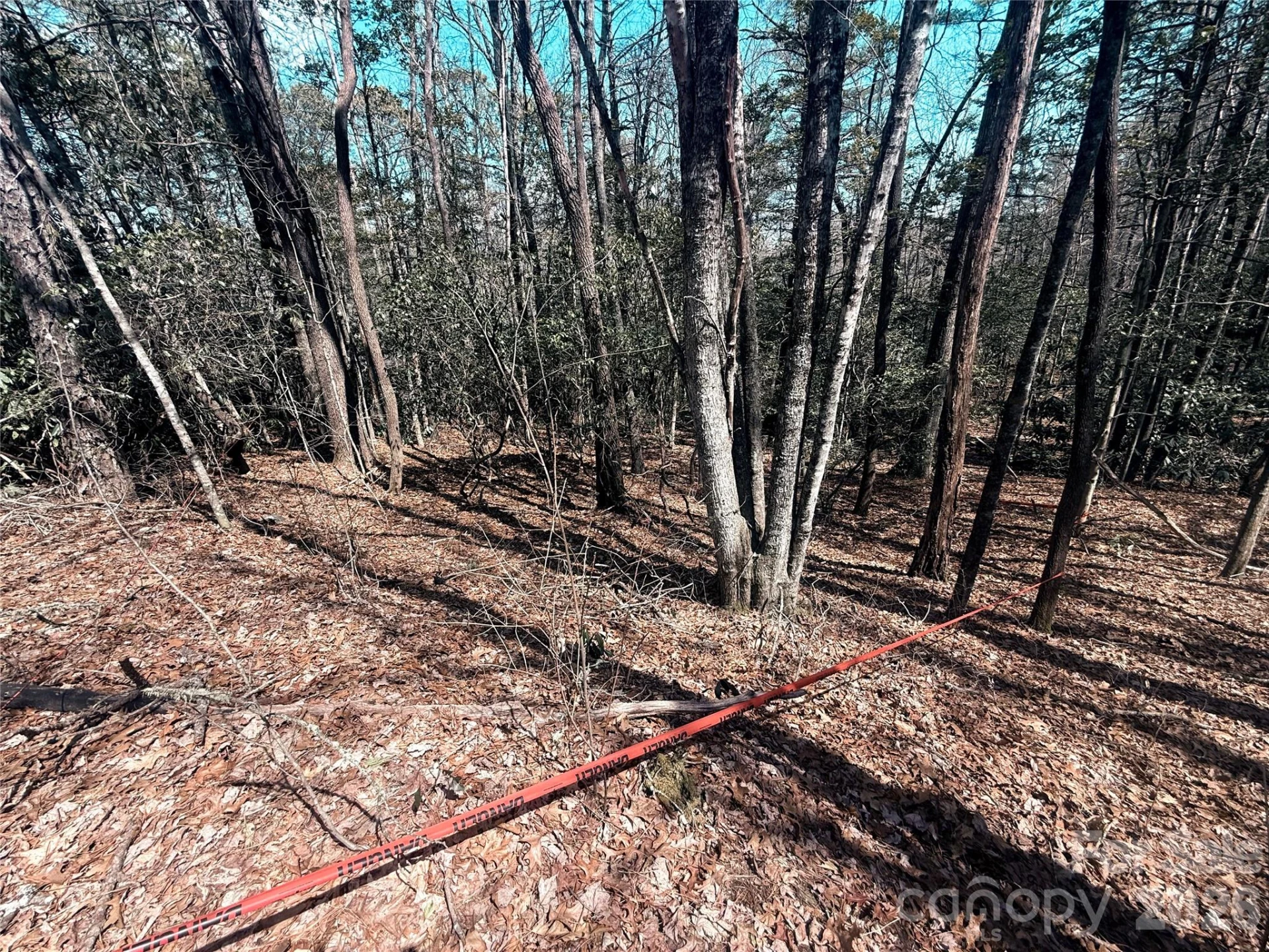 TBD Minerva Lane #Lots 79,80,84