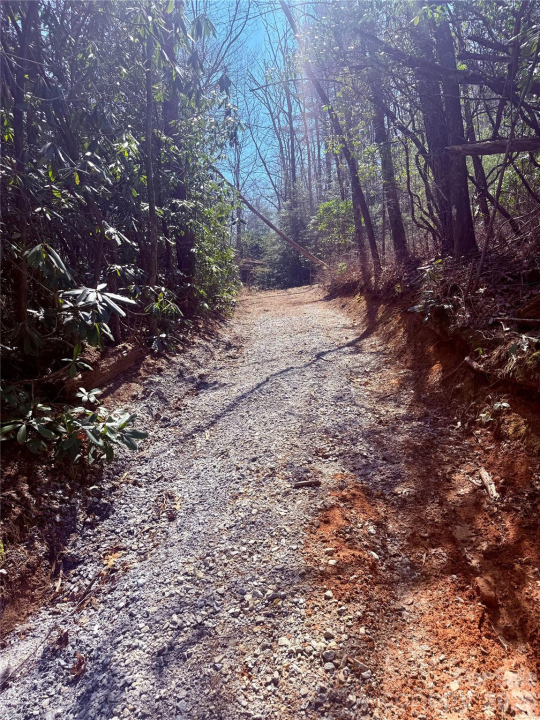 TBD Minerva Lane #Lots 79,80,84 - Photo 11