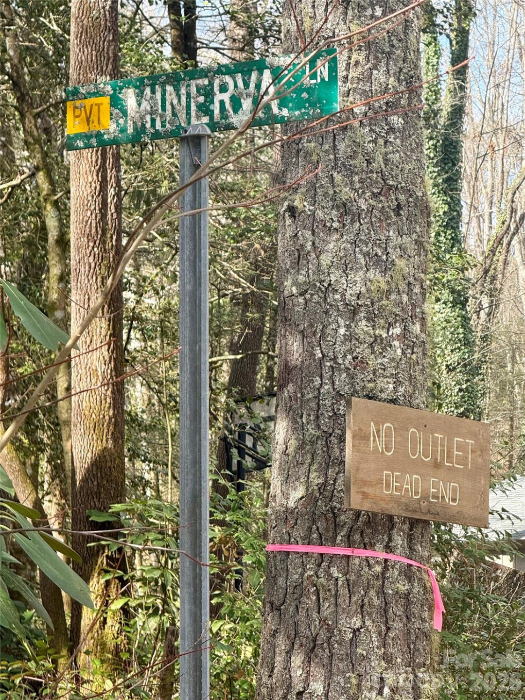 TBD Minerva Lane #Lots 79,80,84 - Photo 13