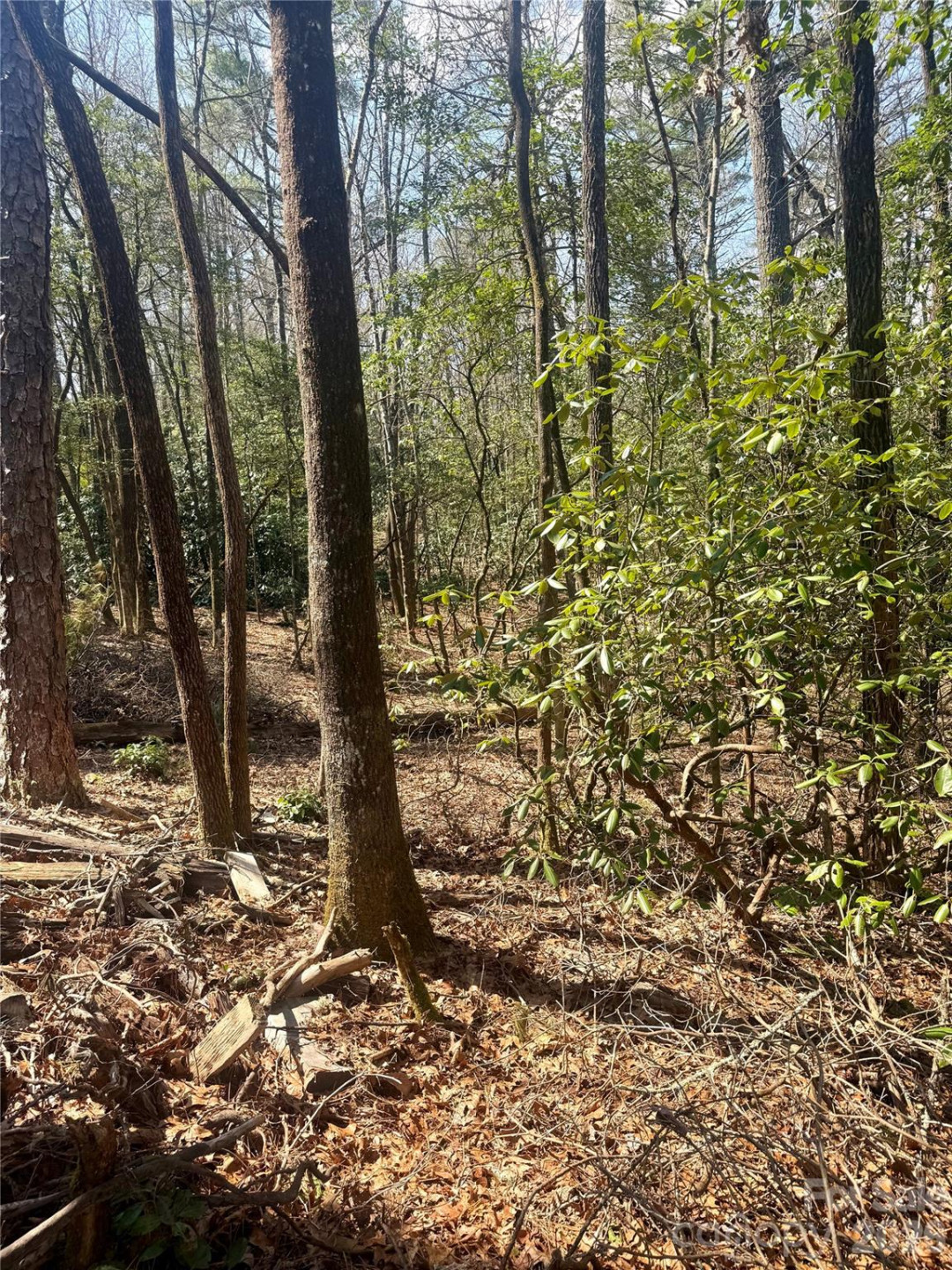 TBD Minerva Lane #Lots 79,80,84 - Photo 4