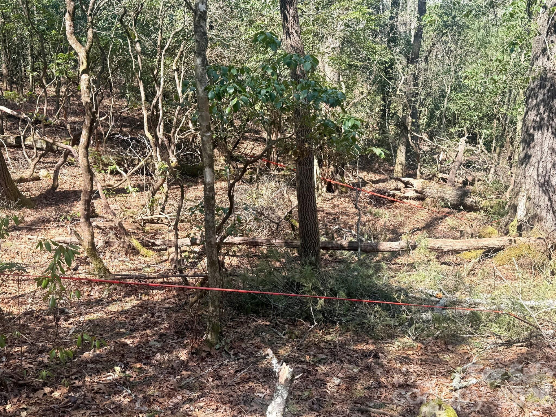 TBD Minerva Lane #Lots 79,80,84 - Photo 5