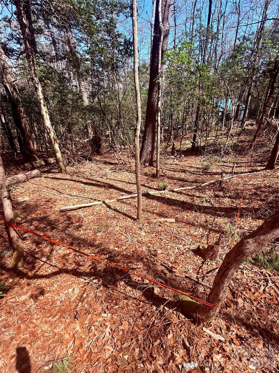 TBD Minerva Lane #Lots 79,80,84 - Photo 6