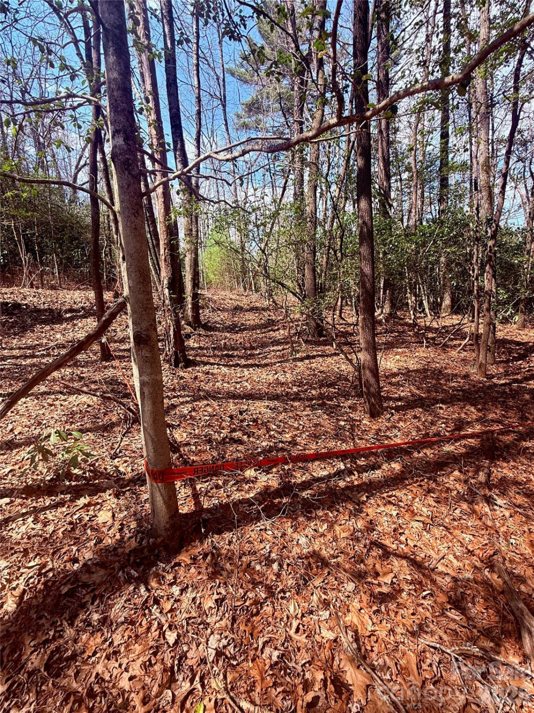 TBD Minerva Lane #Lots 79,80,84 - Photo 7