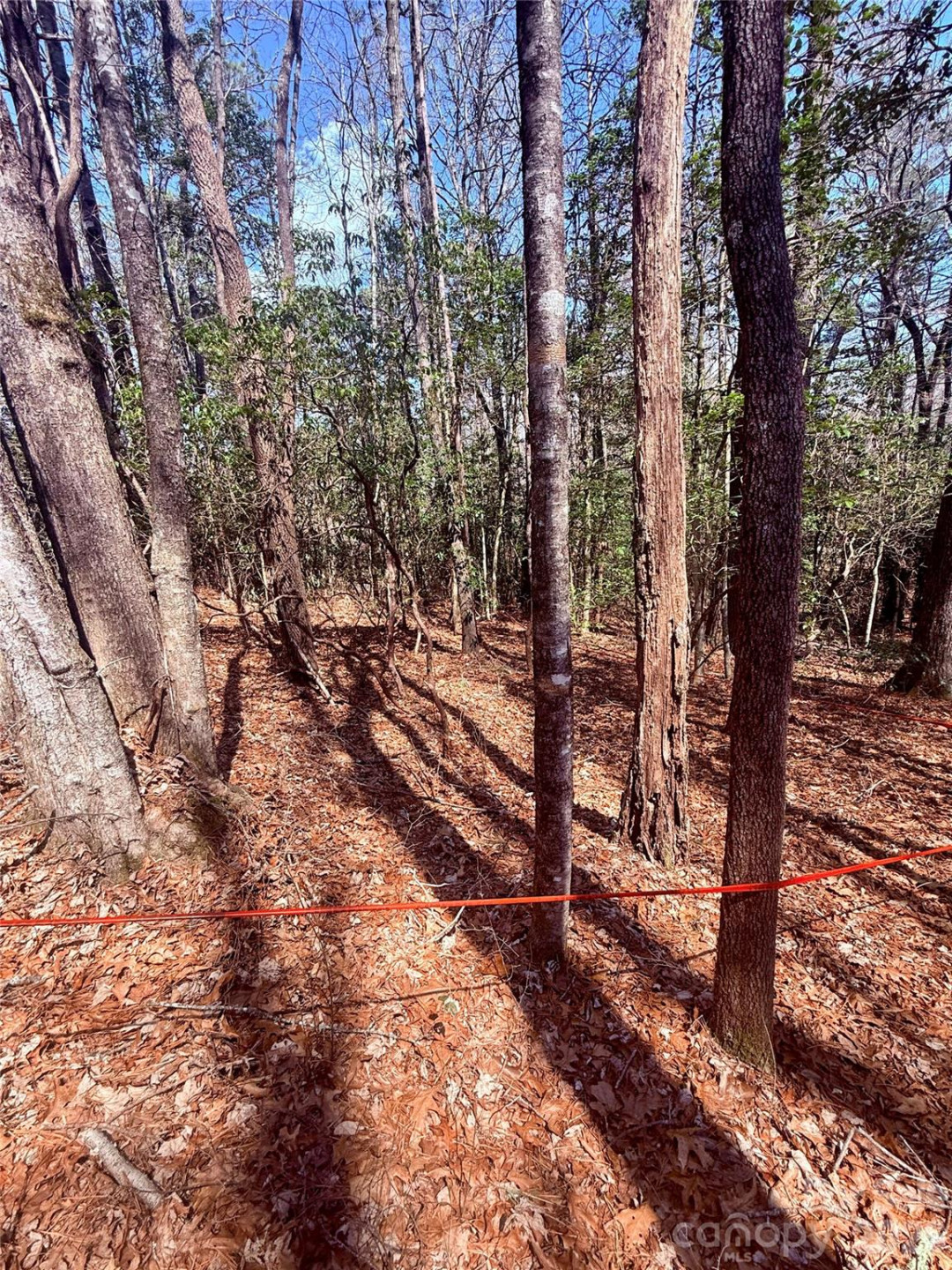 TBD Minerva Lane #Lots 79,80,84 - Photo 8