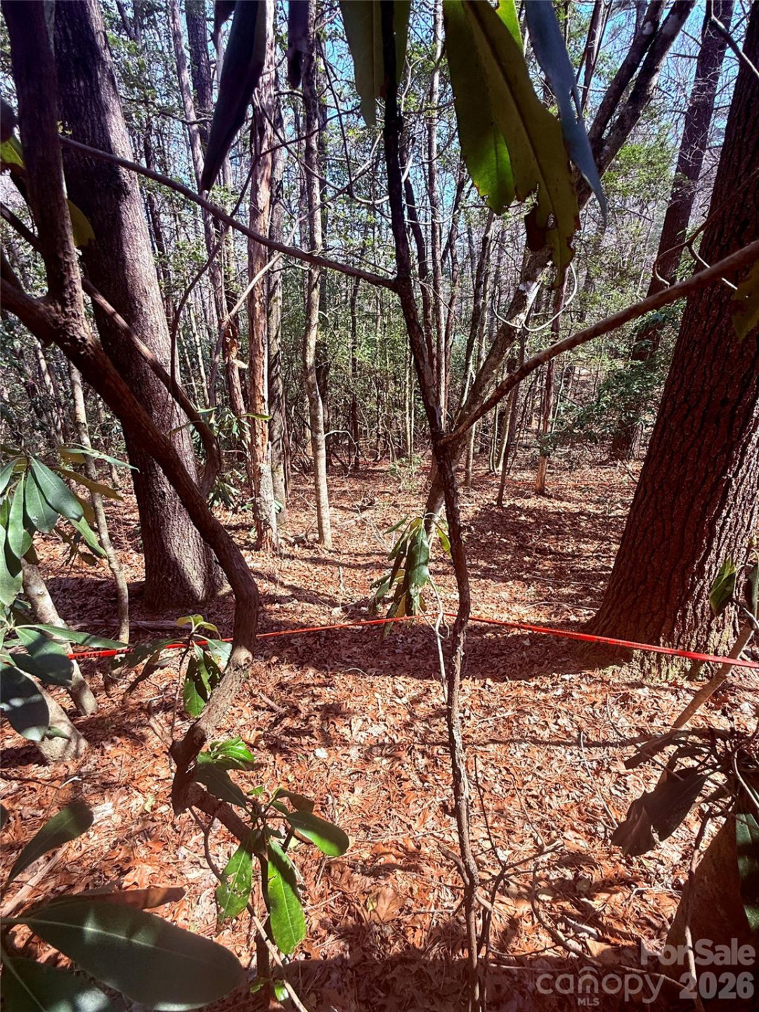 TBD Minerva Lane #Lots 79,80,84 - Photo 9