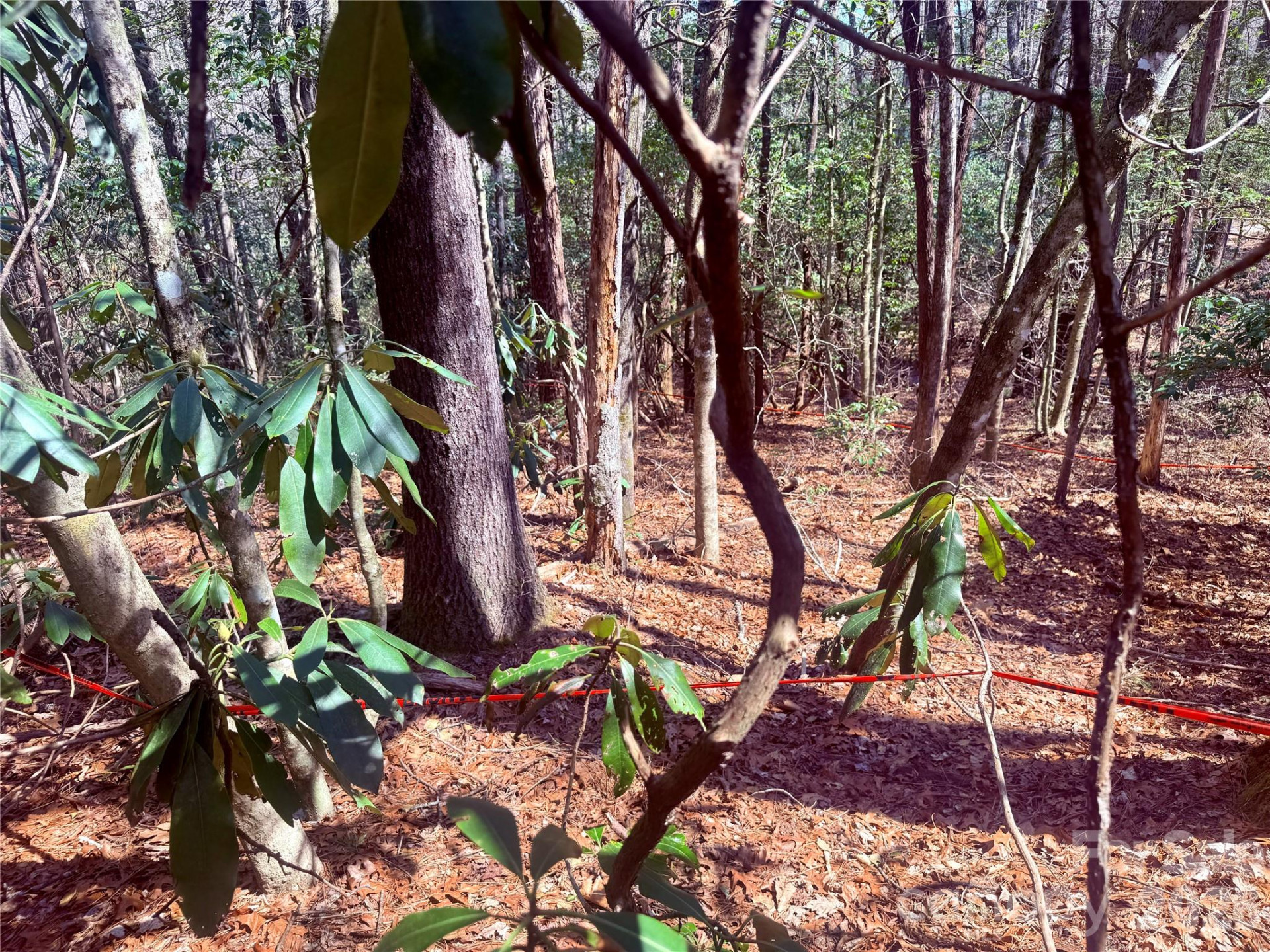 TBD Minerva Lane #Lots 79,80,84 - Photo 10