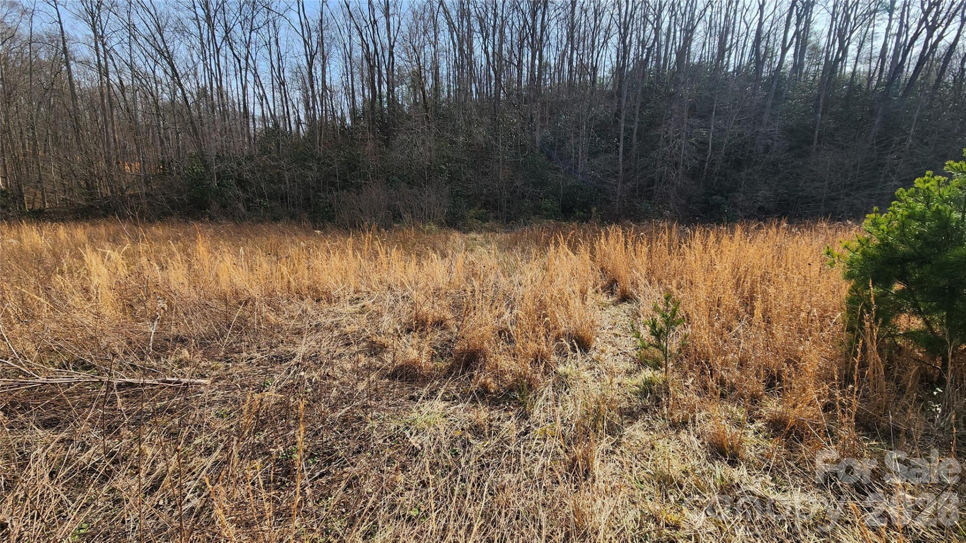 3490 US 70 Highway - Photo 26