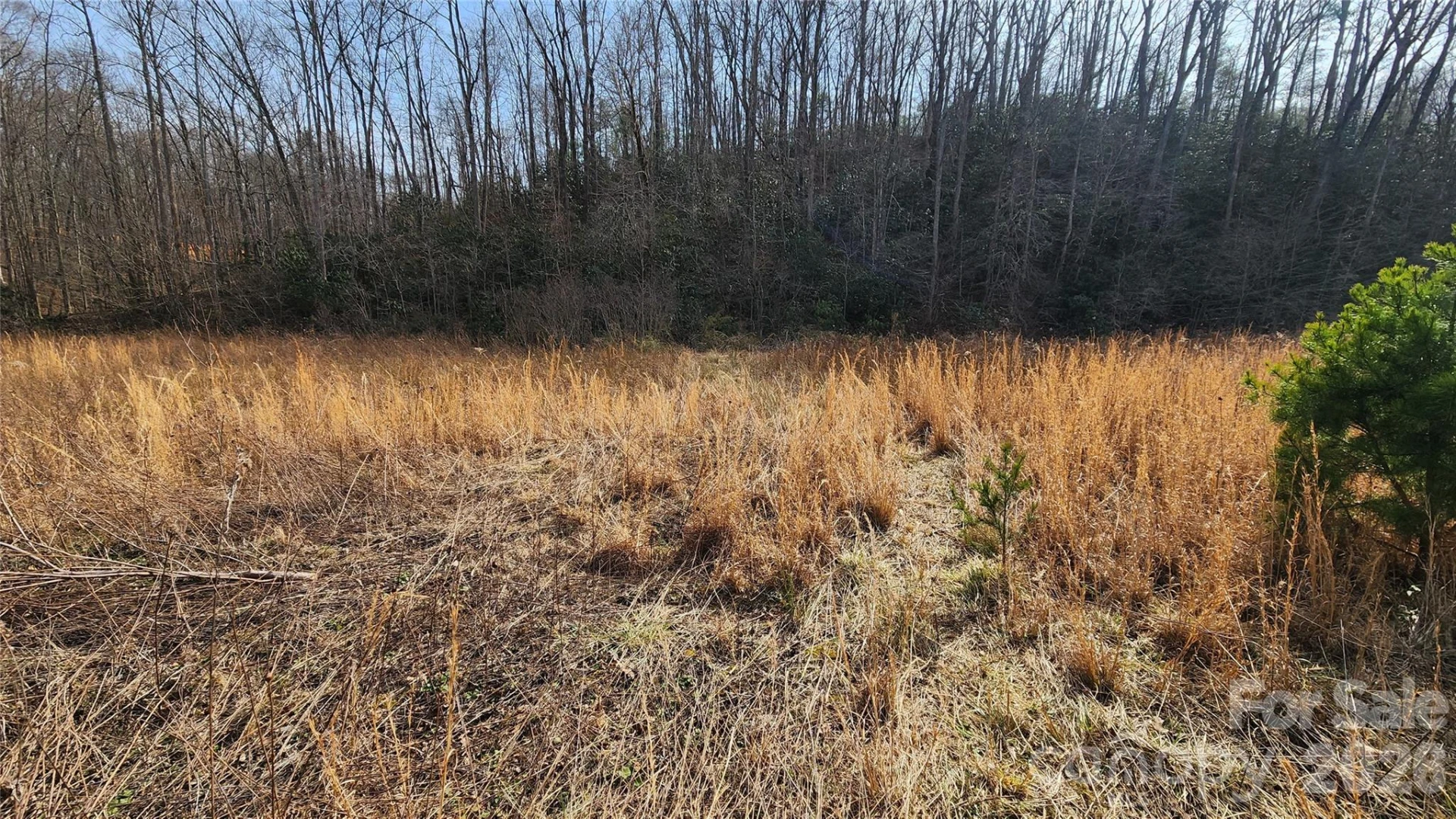 3490 US 70 Highway - Photo 26