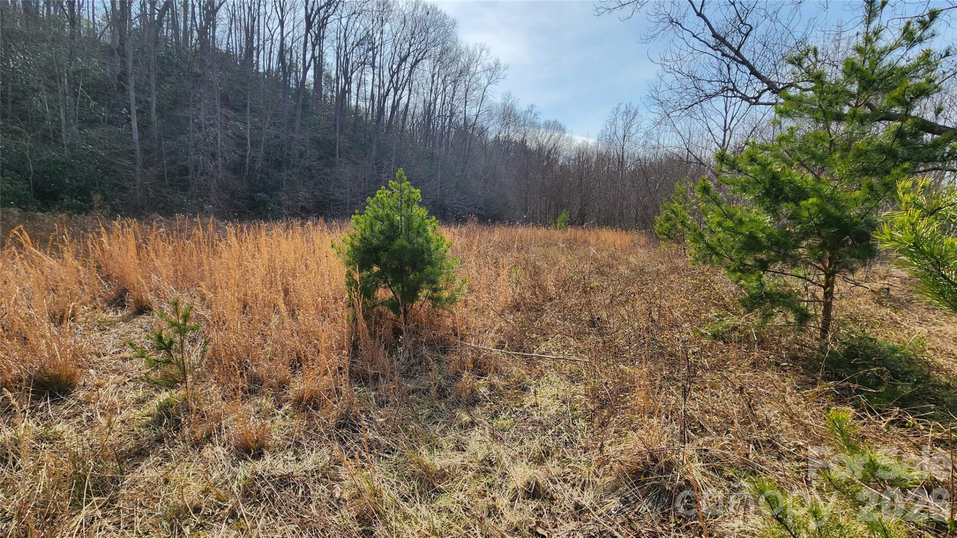 3490 US 70 Highway - Photo 27