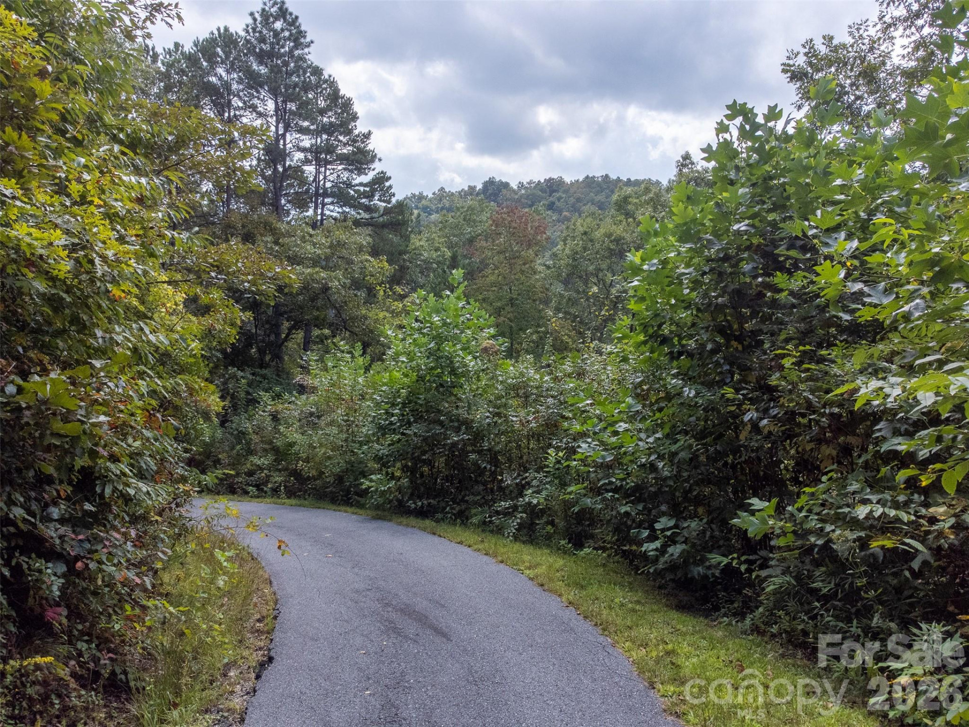 365 Duckback Trail - Photo 28