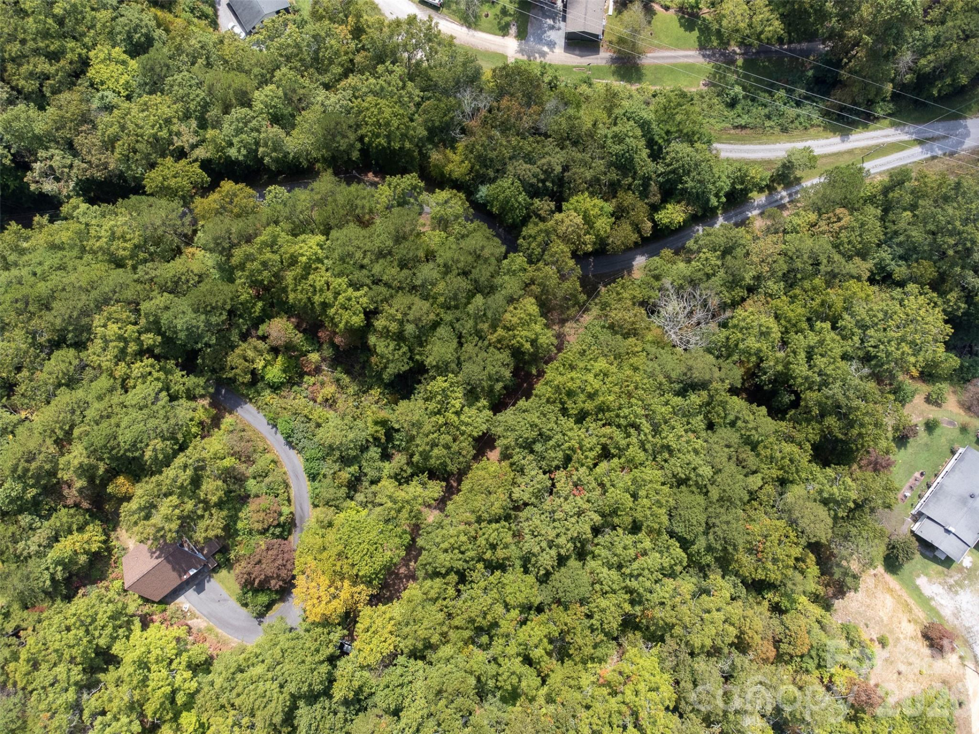 365 Duckback Trail - Photo 46