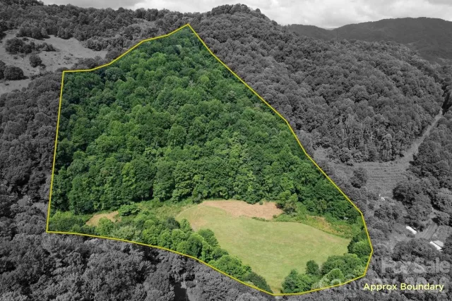 TBD Sugar Camp Road, Marshall, NC, 28753