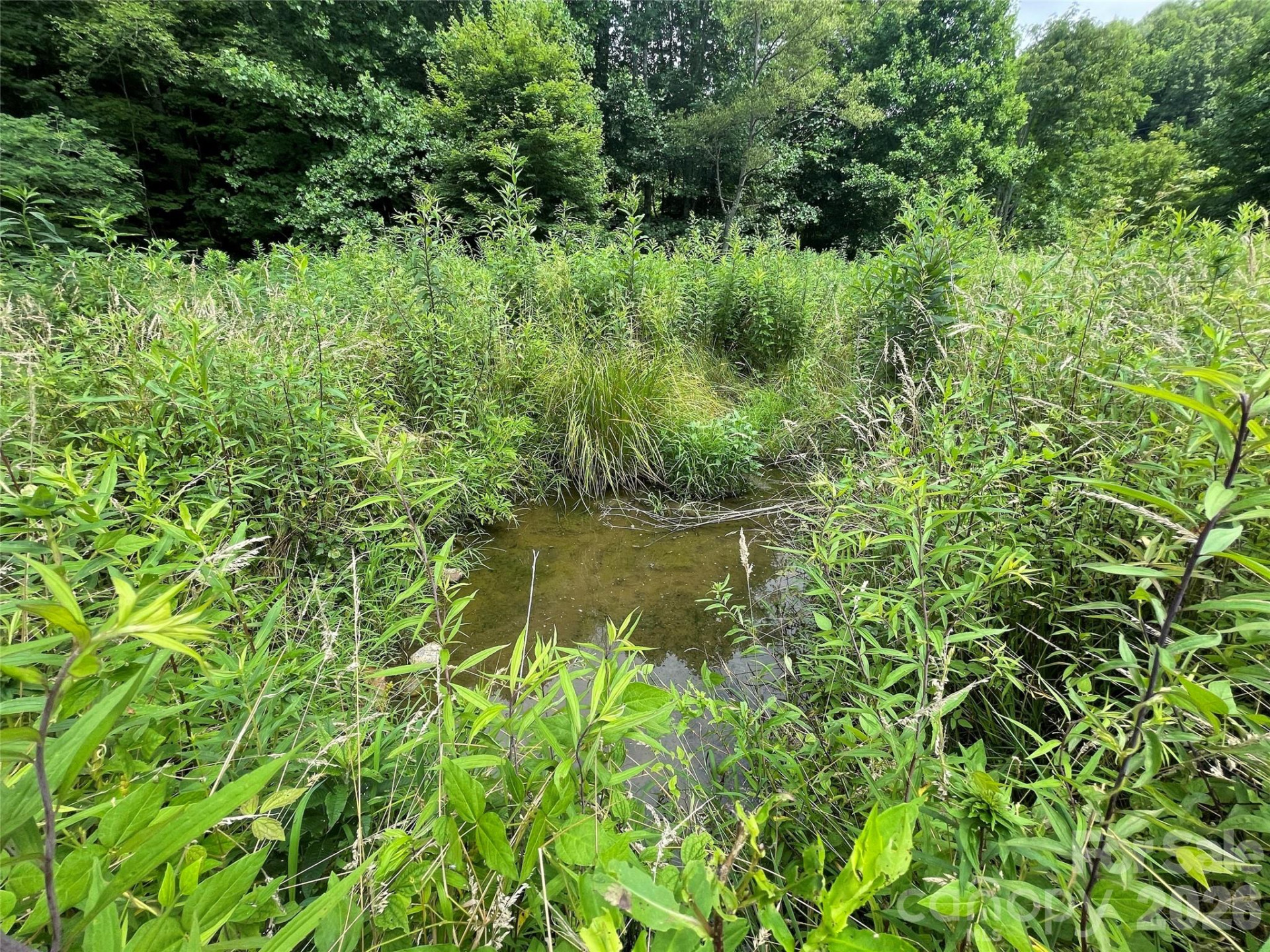 TBD Sugar Camp Road - Photo 11