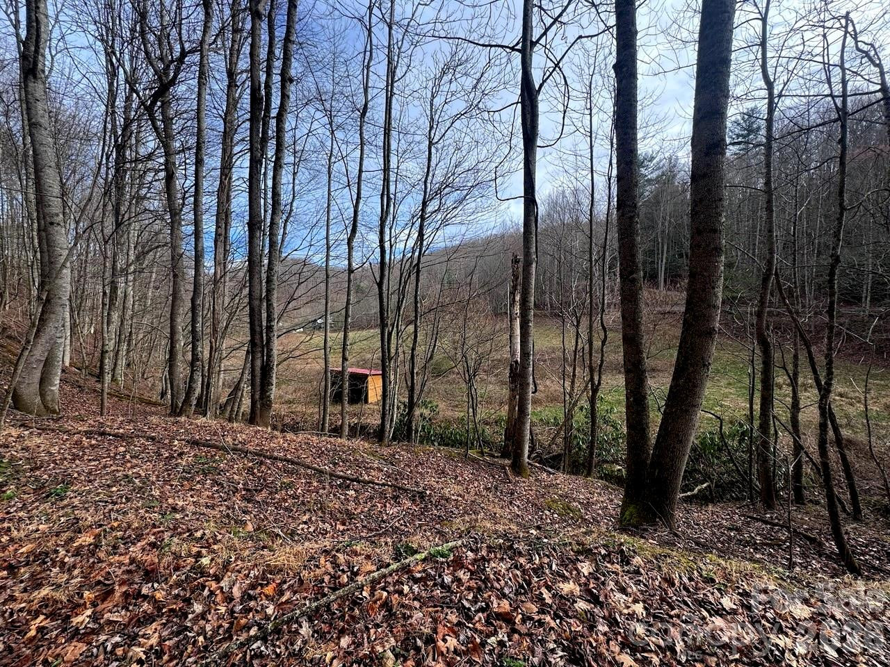 TBD Sugar Camp Road - Photo 14