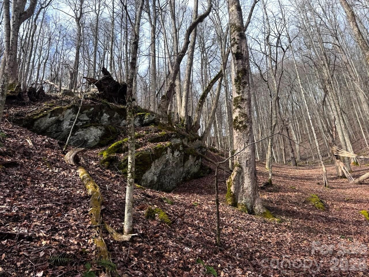 TBD Sugar Camp Road - Photo 18