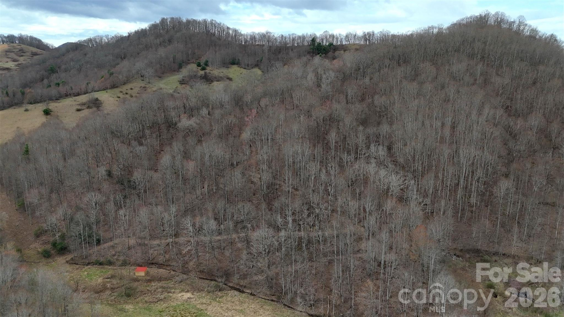 TBD Sugar Camp Road - Photo 19