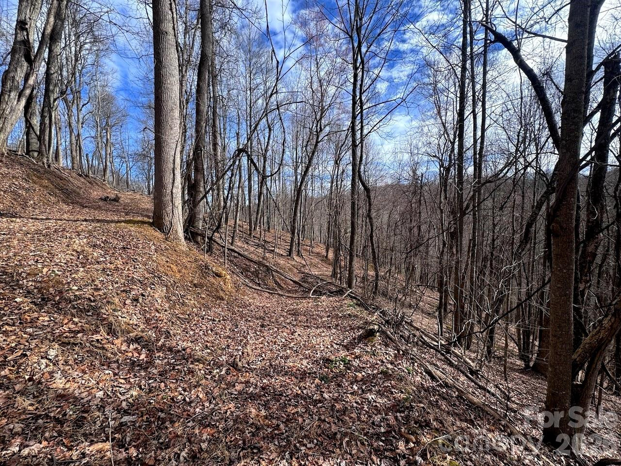 TBD Sugar Camp Road - Photo 20