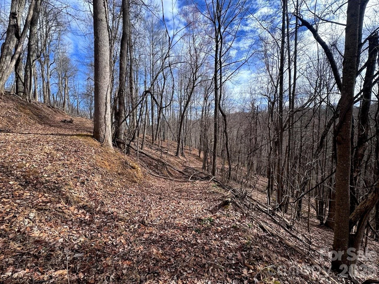 TBD Sugar Camp Road - Photo 20