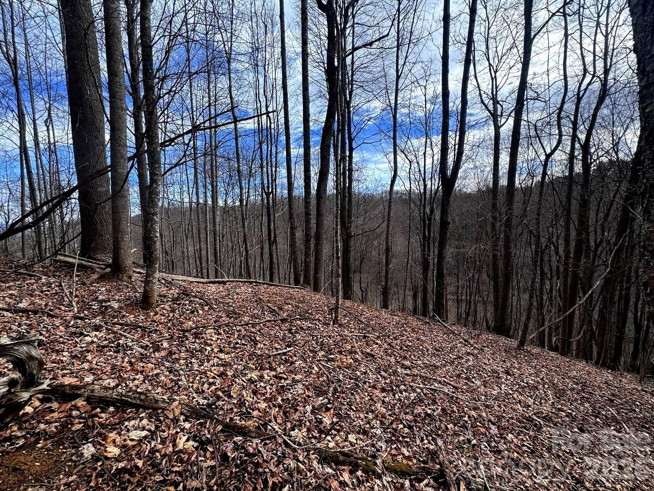 TBD Sugar Camp Road - Photo 22