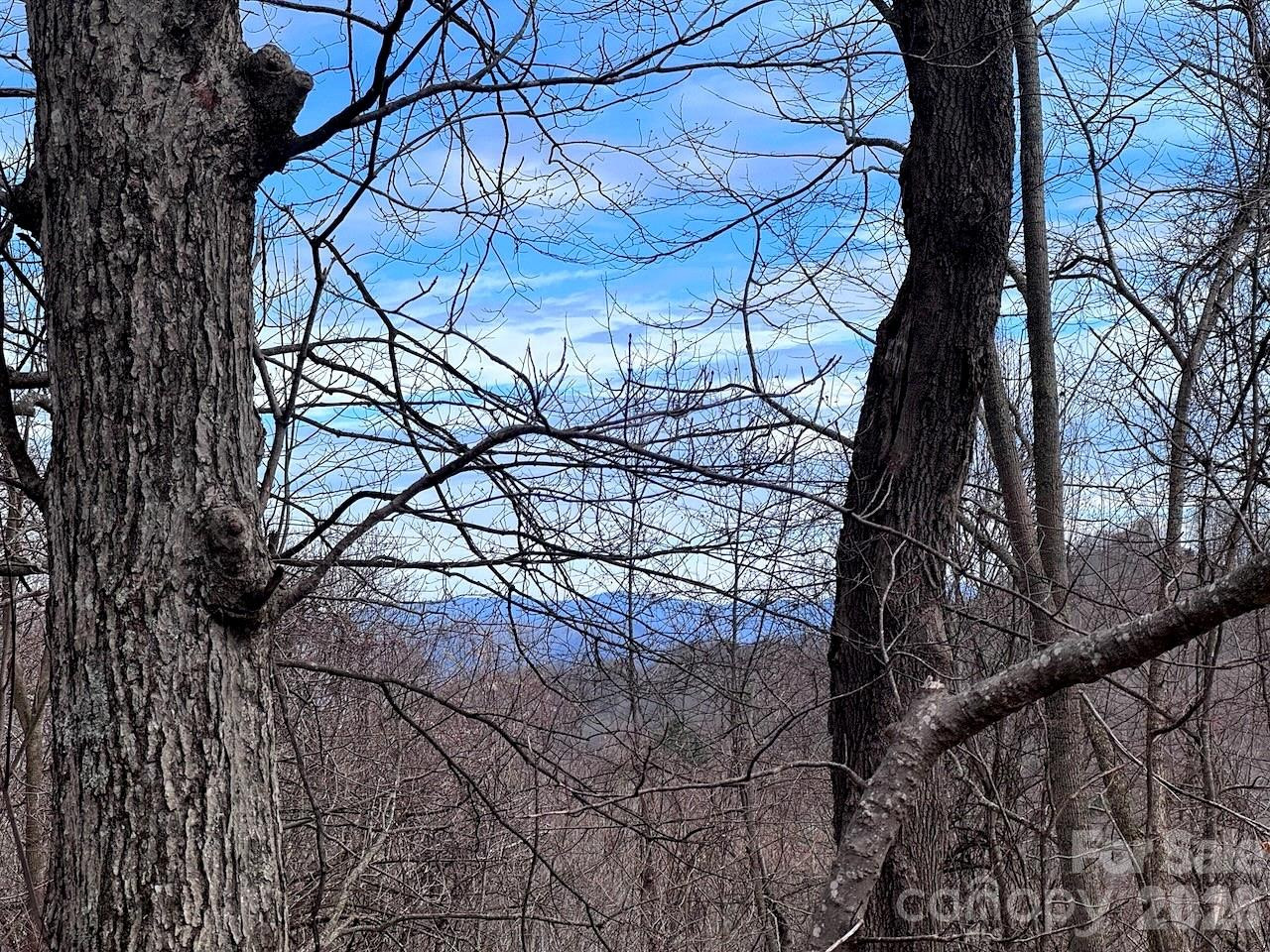 TBD Sugar Camp Road - Photo 23