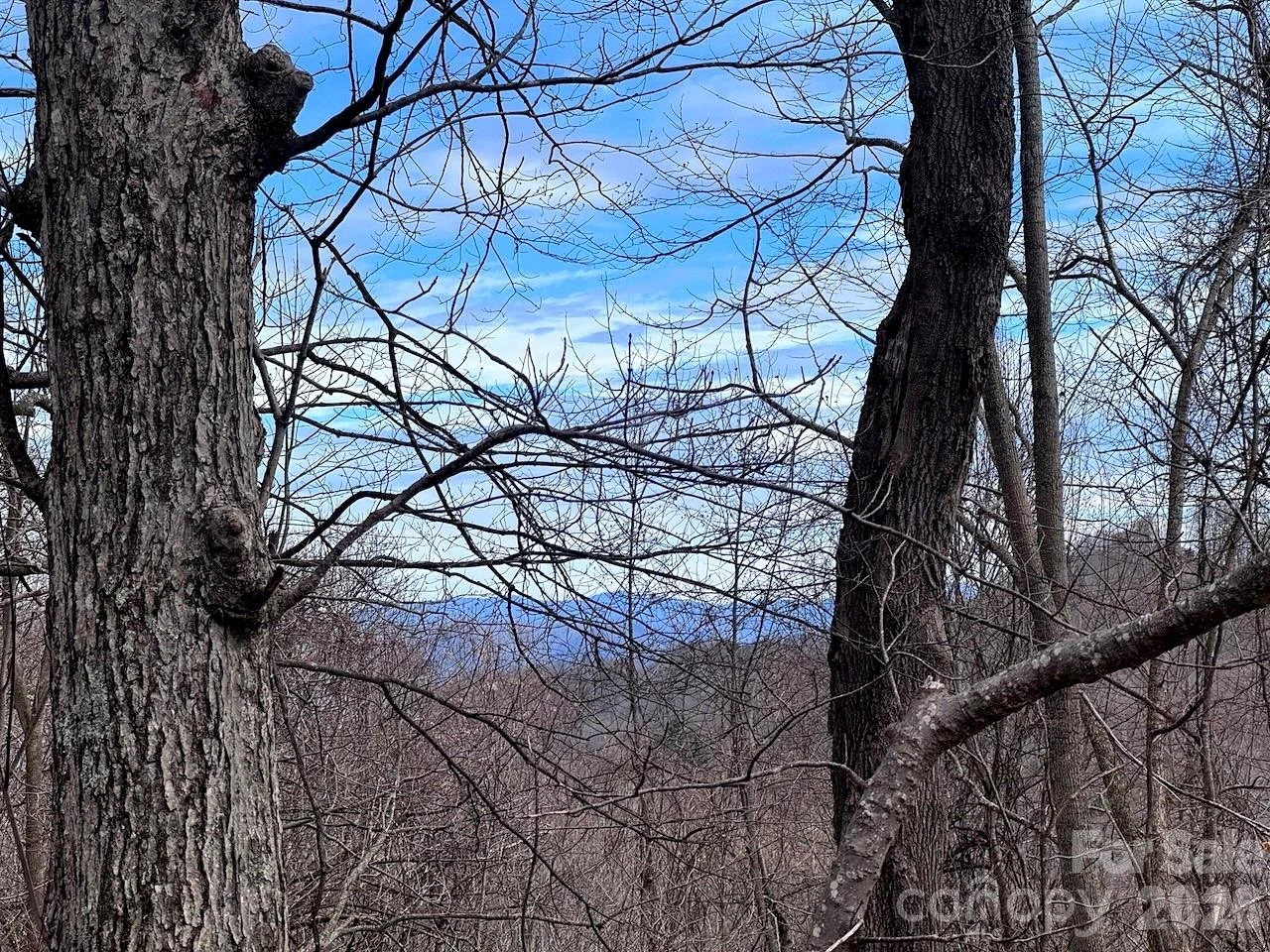 TBD Sugar Camp Road - Photo 23