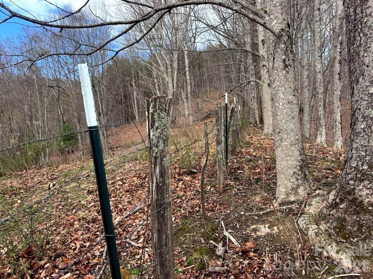 TBD Sugar Camp Road - Photo 25