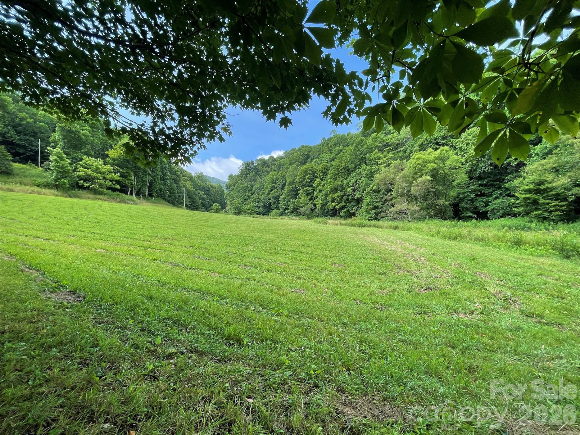 TBD Sugar Camp Road - Photo 4