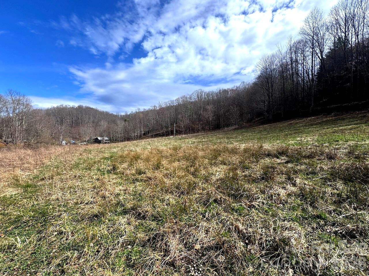 TBD Sugar Camp Road - Photo 31