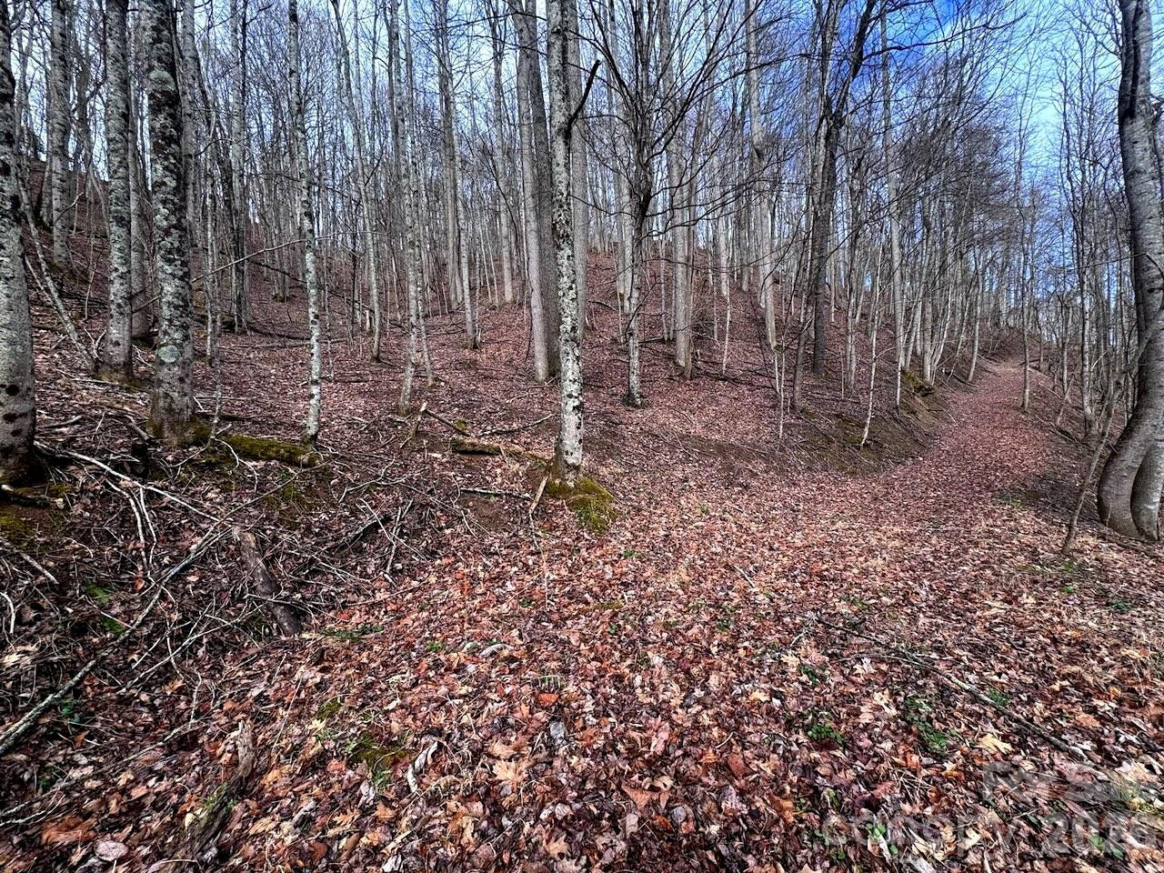 TBD Sugar Camp Road - Photo 32