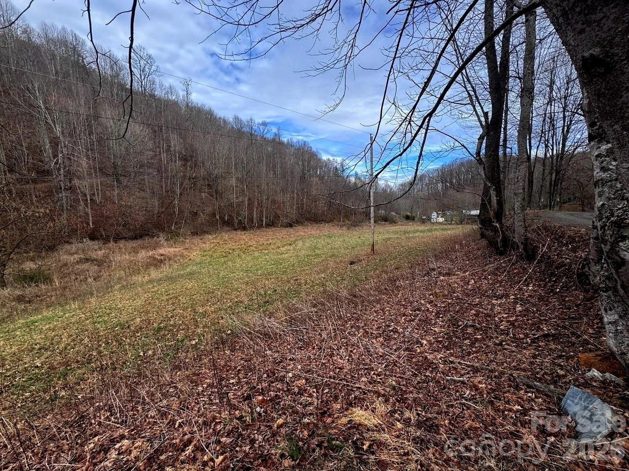TBD Sugar Camp Road - Photo 33