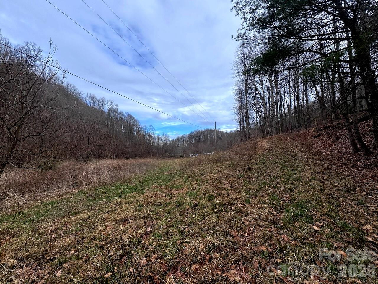 TBD Sugar Camp Road - Photo 34