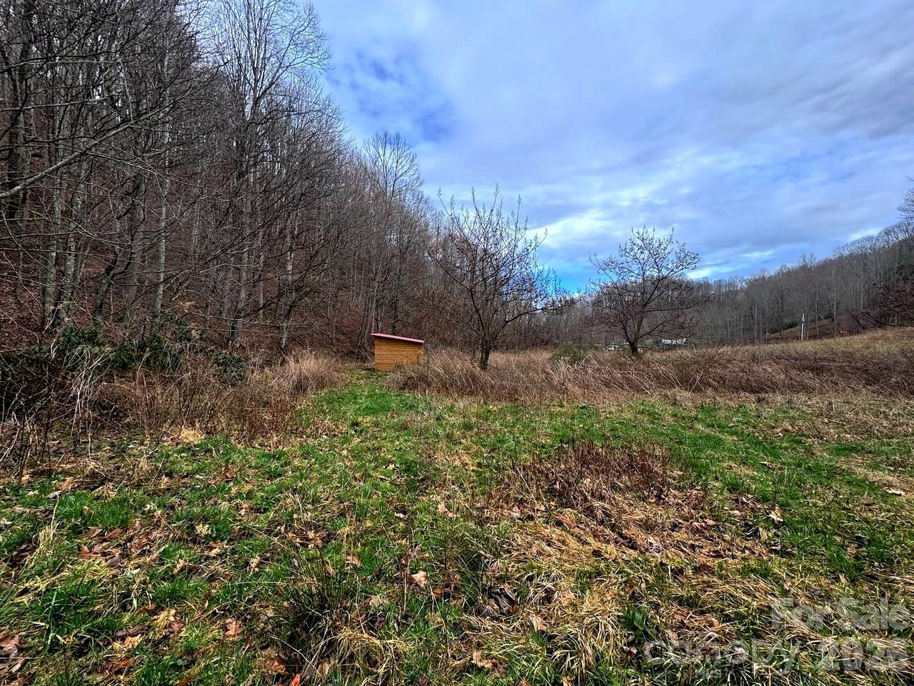 TBD Sugar Camp Road - Photo 35