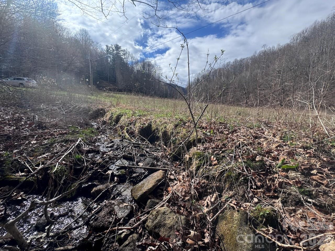 TBD Sugar Camp Road - Photo 36