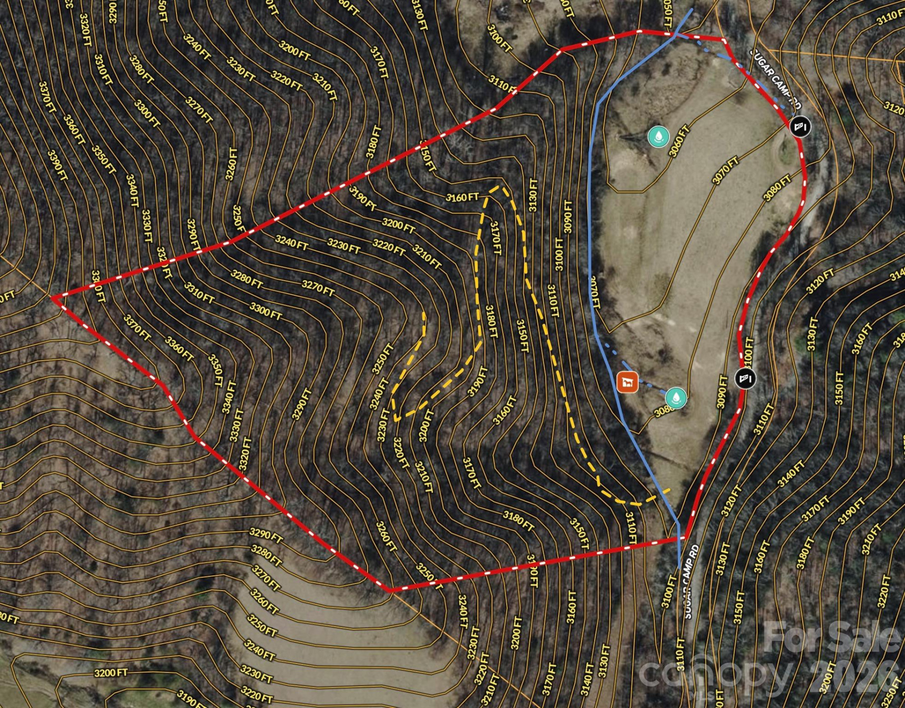 TBD Sugar Camp Road - Photo 37