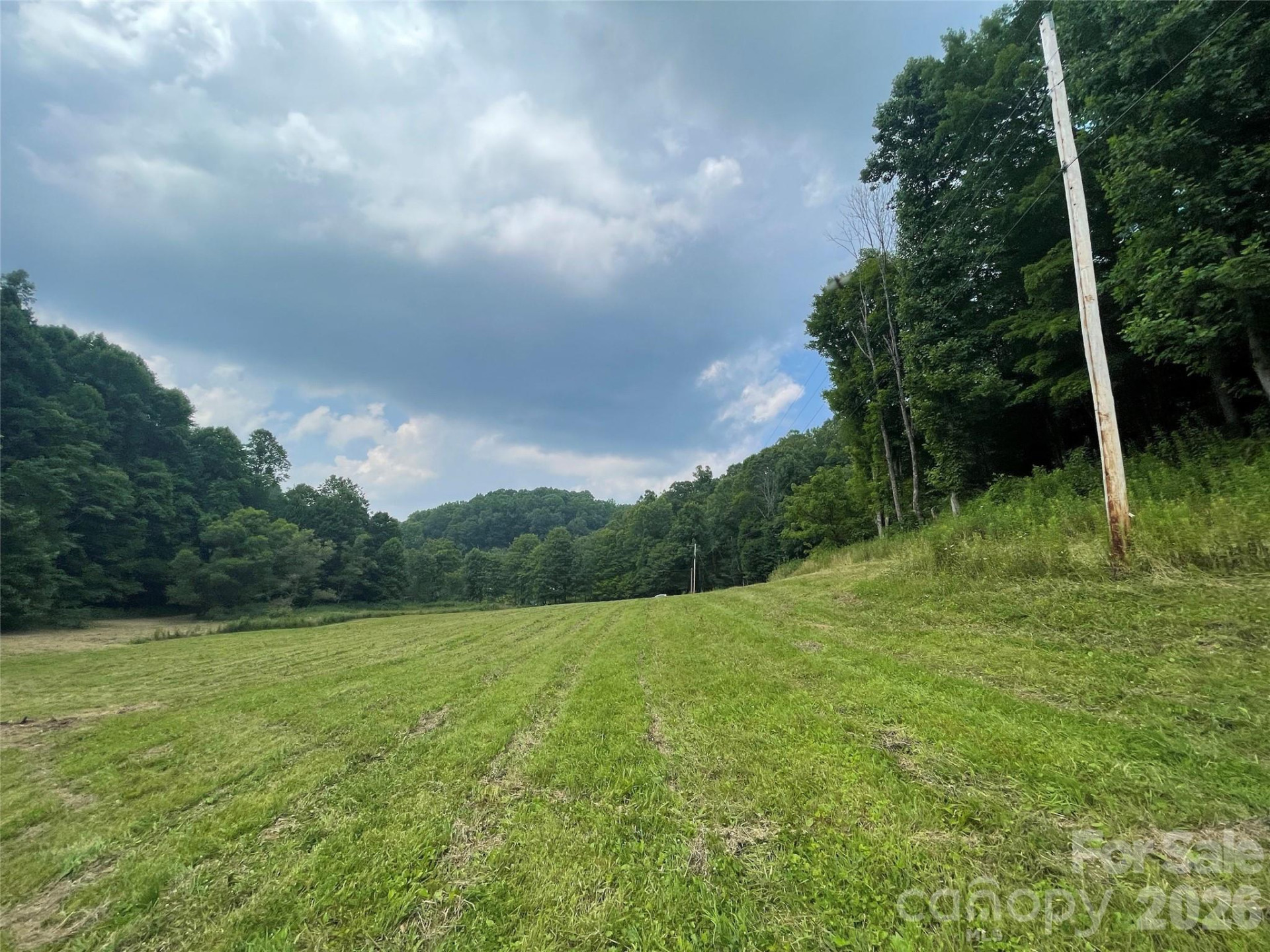 TBD Sugar Camp Road - Photo 39