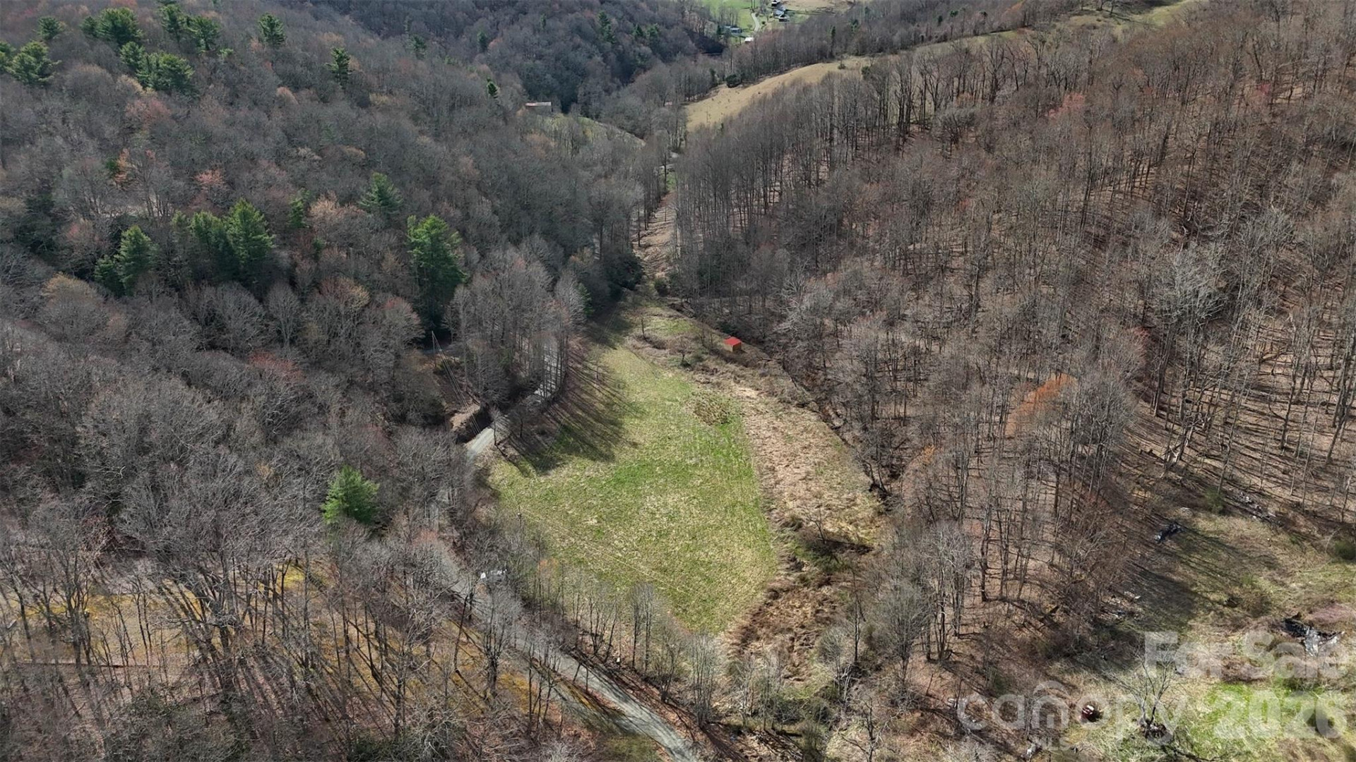 TBD Sugar Camp Road - Photo 5