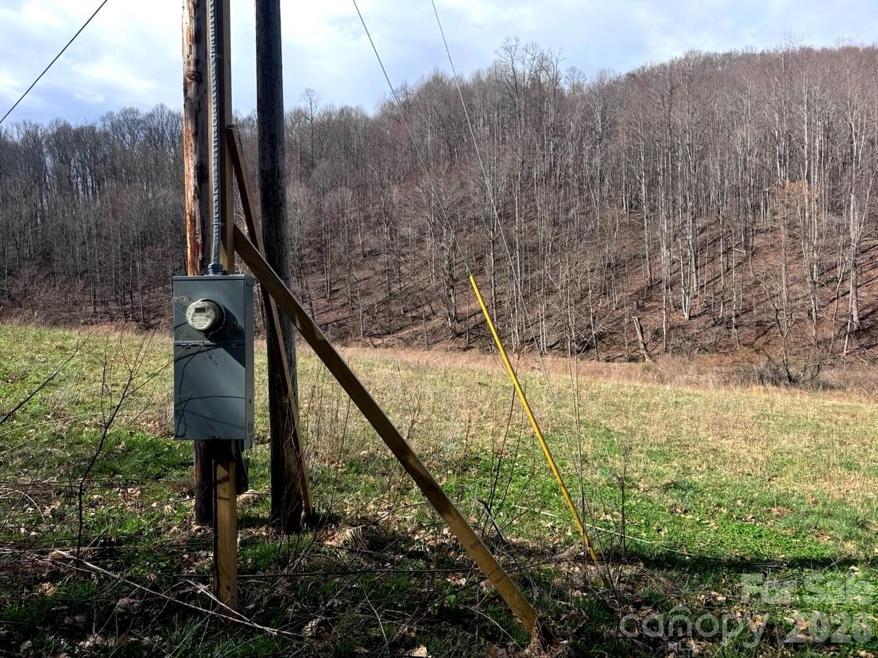 TBD Sugar Camp Road - Photo 7