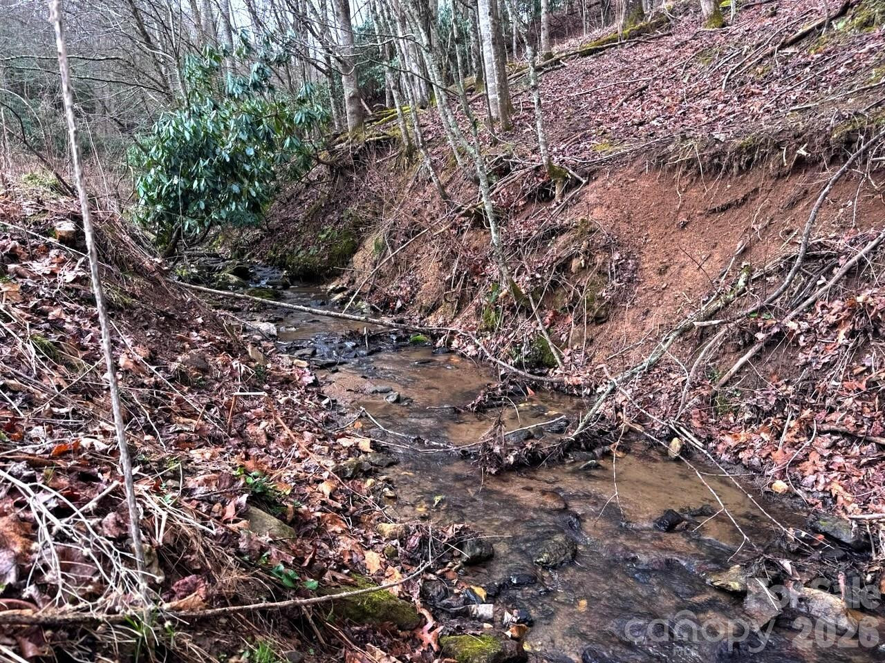 TBD Sugar Camp Road - Photo 9