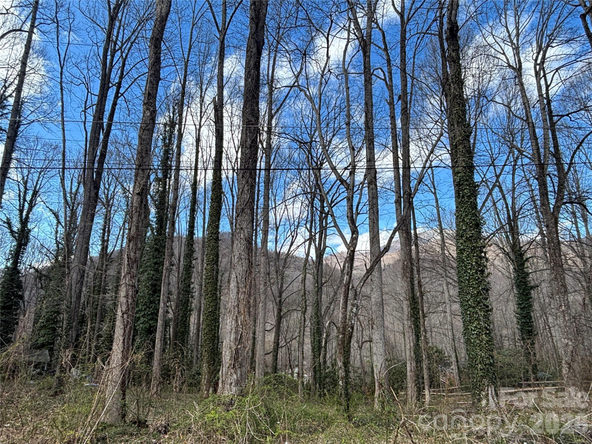 TBD Ash Drive #14 - Photo 3