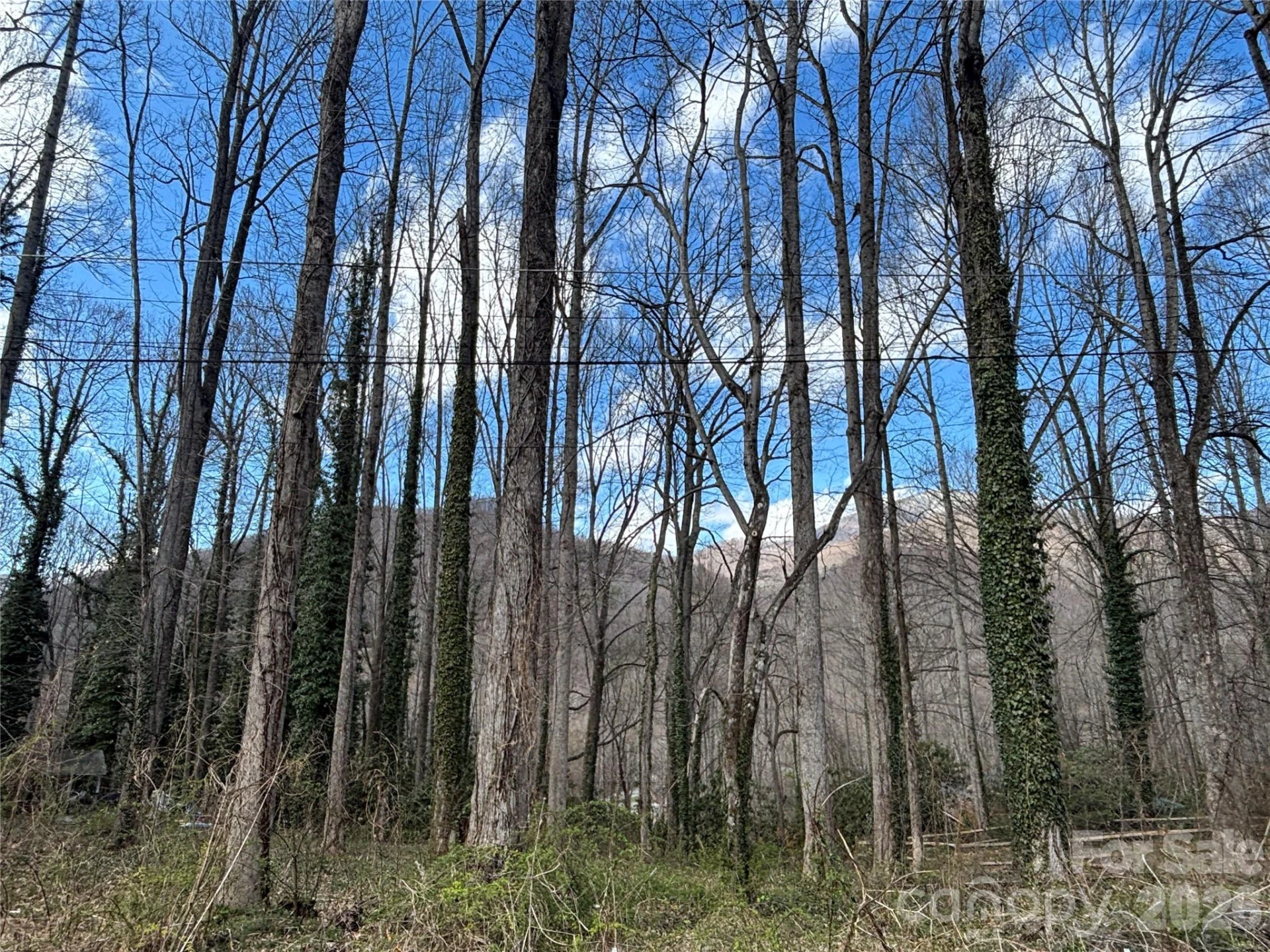 TBD Ash Drive #14 - Photo 3