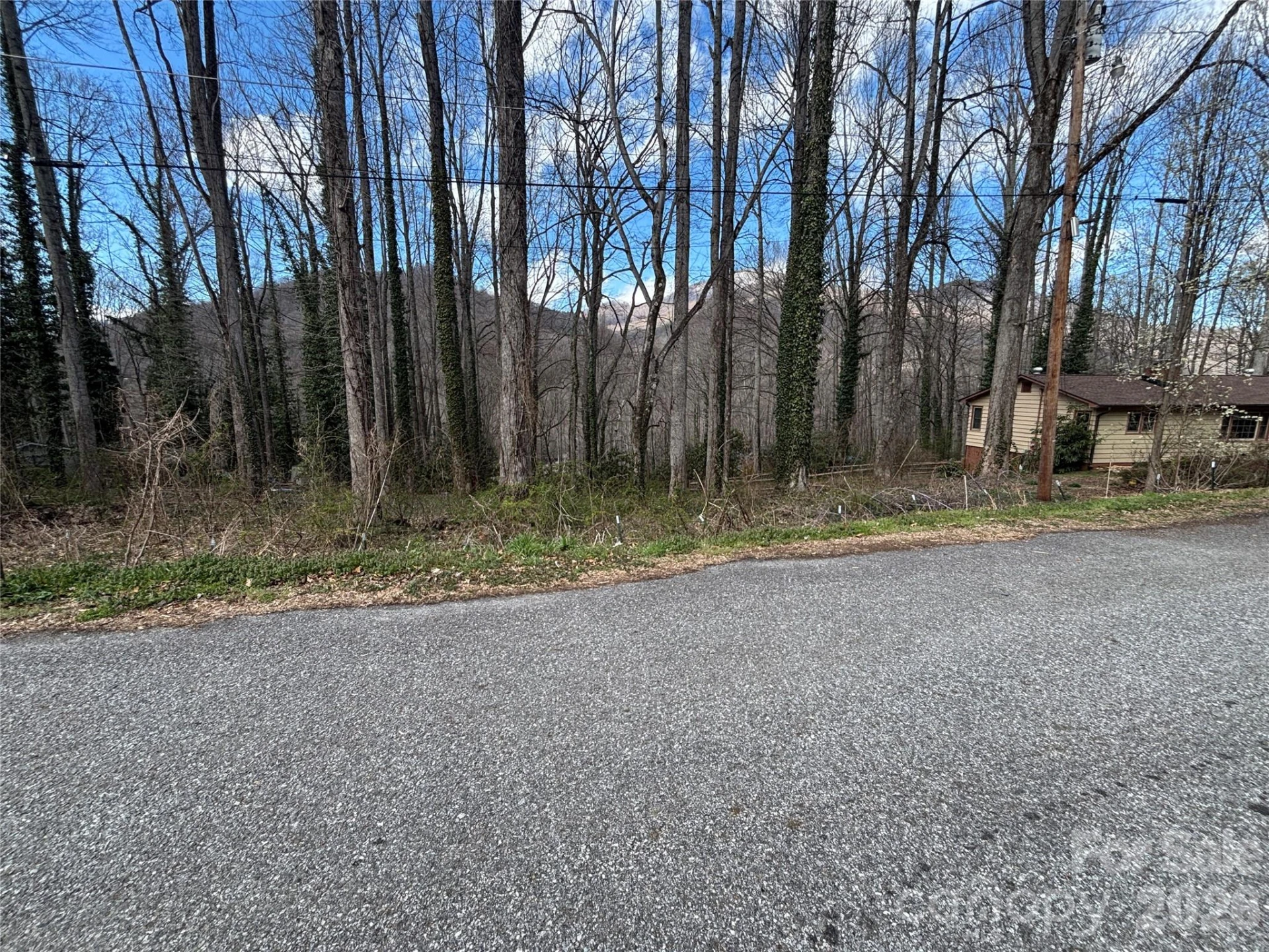 TBD Ash Drive #14 - Photo 4