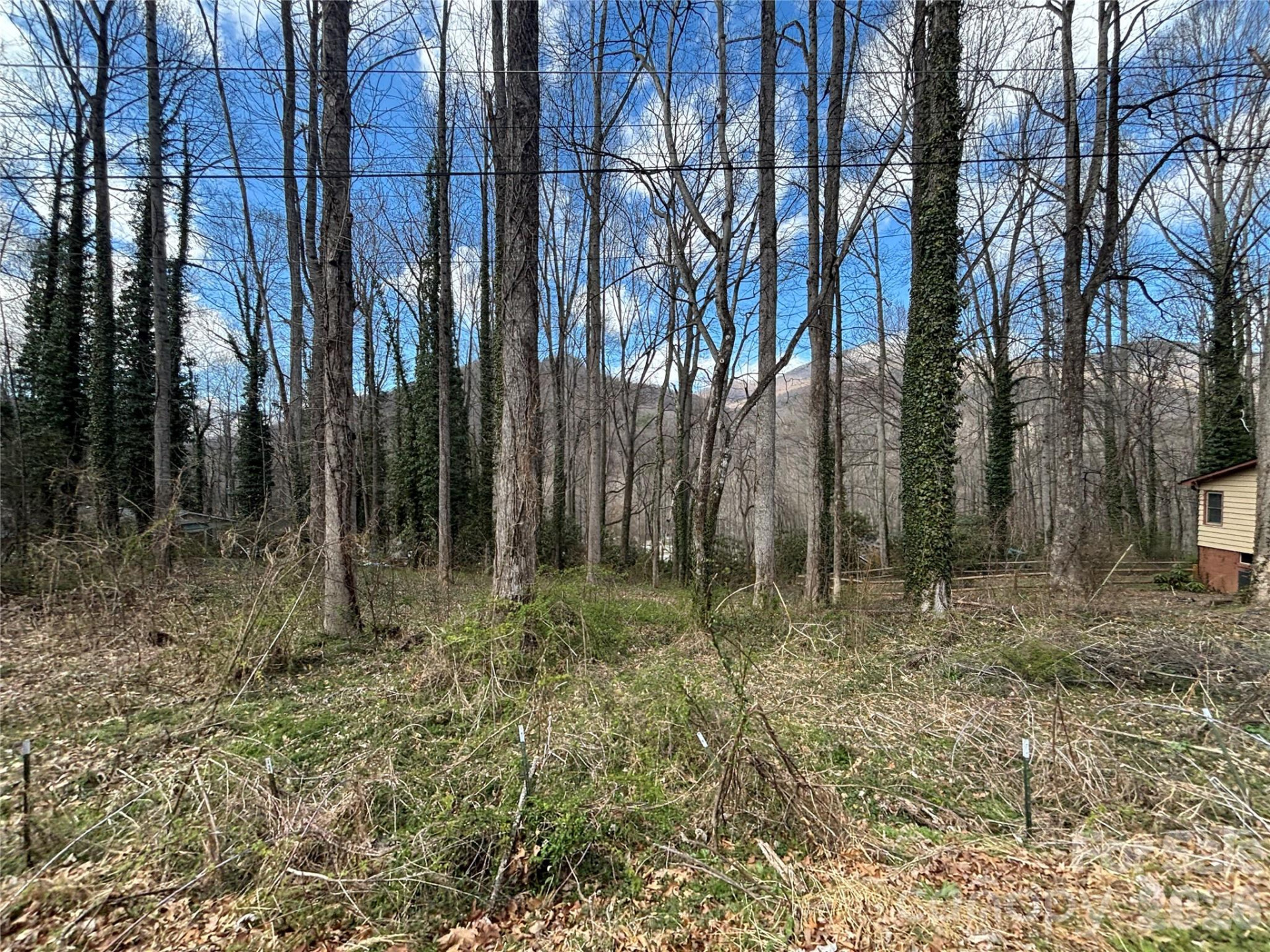 TBD Ash Drive #14 - Photo 5