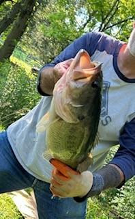 132 Hurd Road - Photo 3