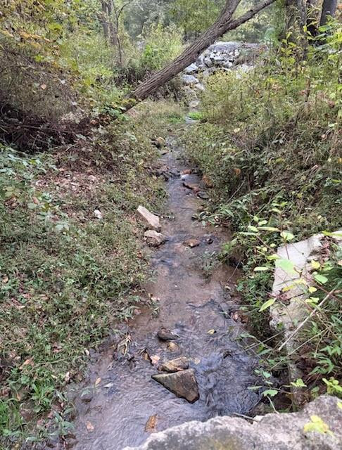 132 Hurd Road - Photo 23