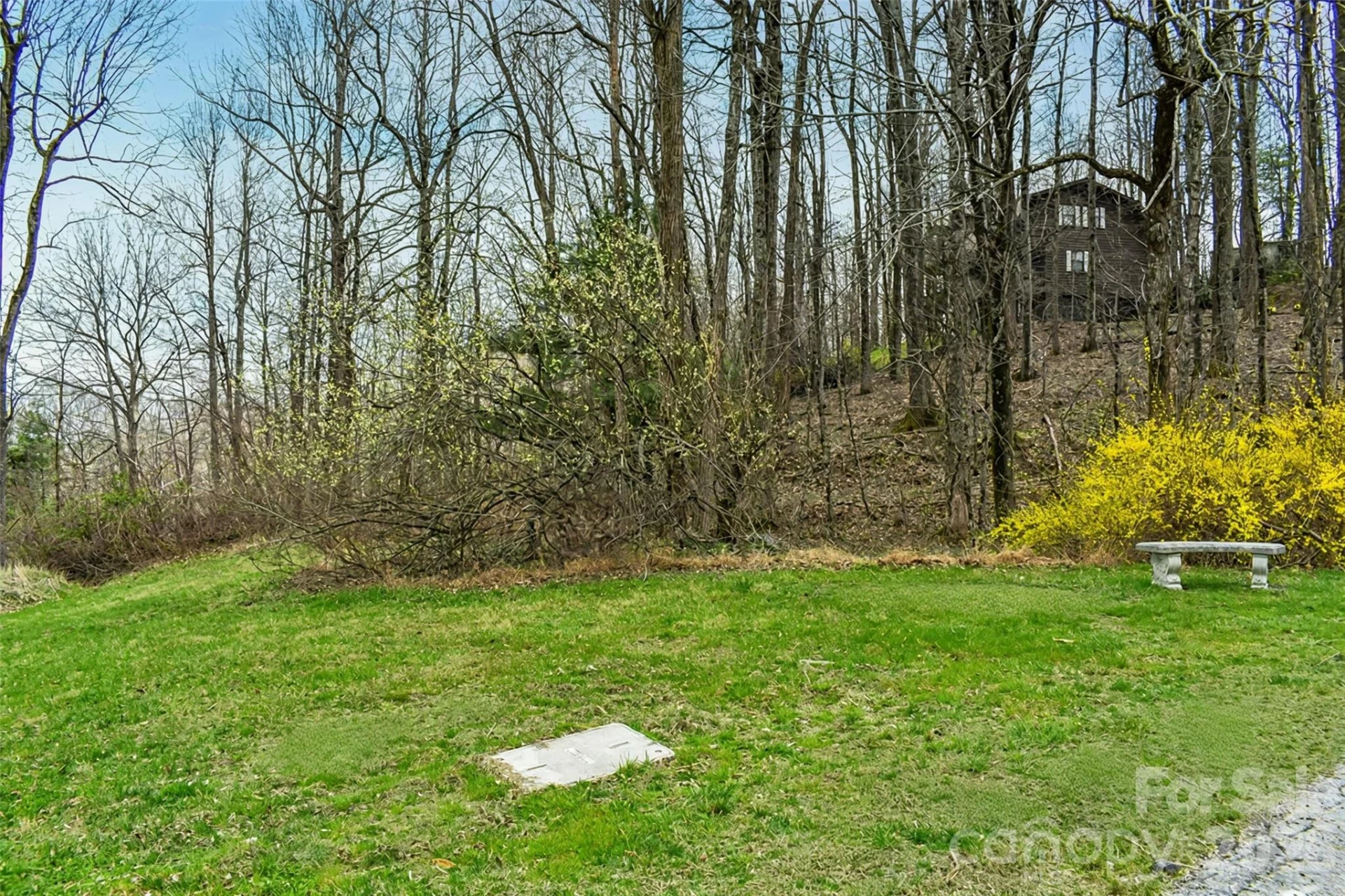 252 Pinewood Circle
