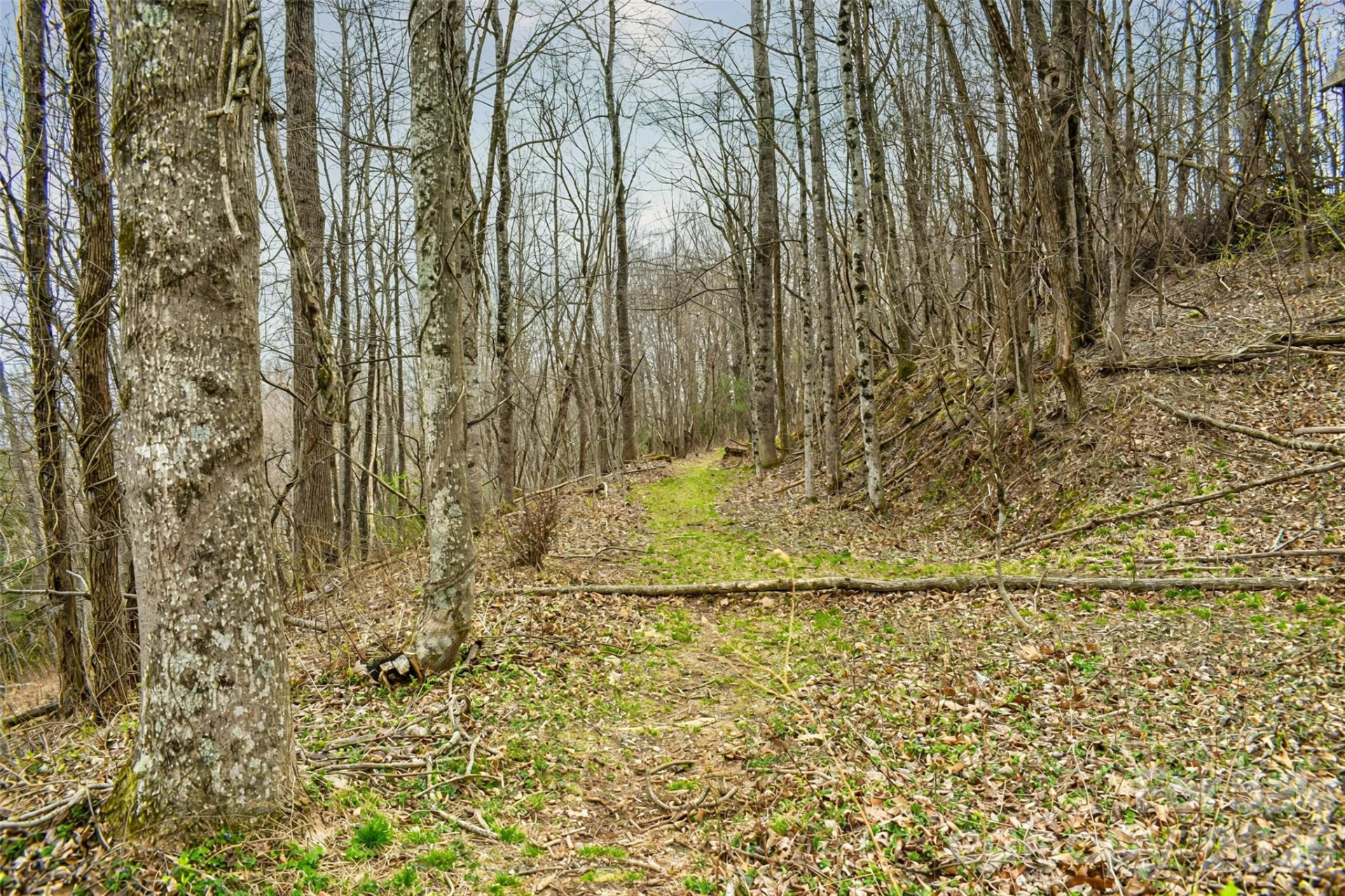 252 Pinewood Circle - Photo 2