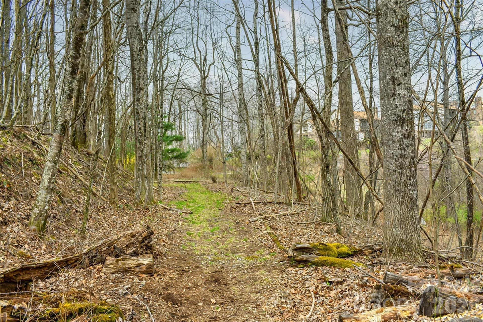 252 Pinewood Circle - Photo 3